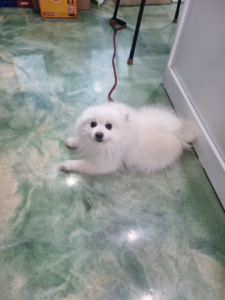 우성동물병원_447514202300127